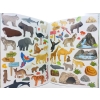 Książka z naklejkami 175 naklejek ZWIERZĘTA W ZOO