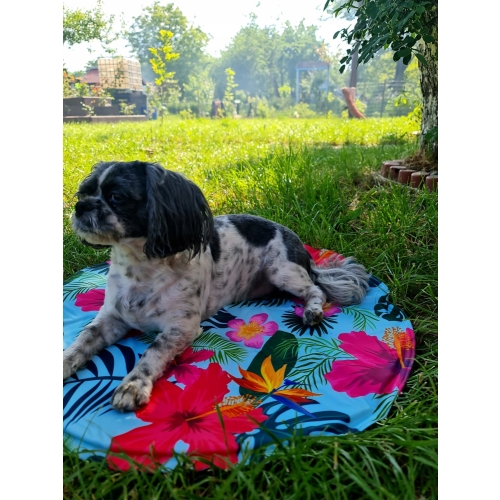 MATA CHŁODZĄCA DLA PSA KOTA 60 cm OKRĄGŁA KWIATY