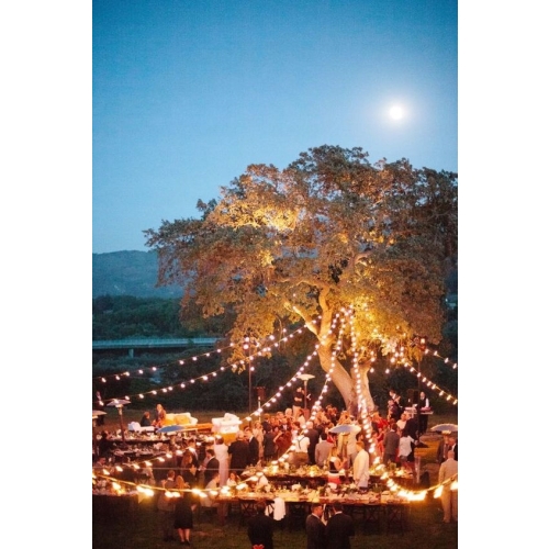 GIRLANDA OGRODOWA DUŻE LAMPKI LED 50 szt 15m SZNUR