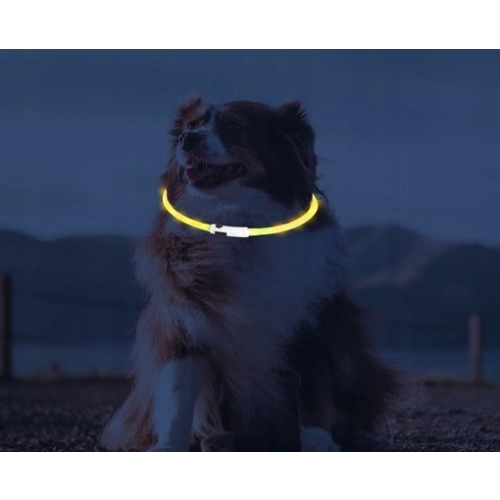 ŚWIECĄCA OBROŻA LED DLA PSA 70 cm silikonowa 99