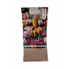 TULIPANY 12 SZTUK MIX KOLORÓW CEBULEK REMBRANDT 67