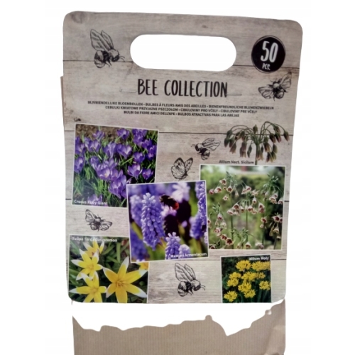 TULIPANY 12 SZTUK MIX KOLORÓW CEBULEK REMBRANDT 67