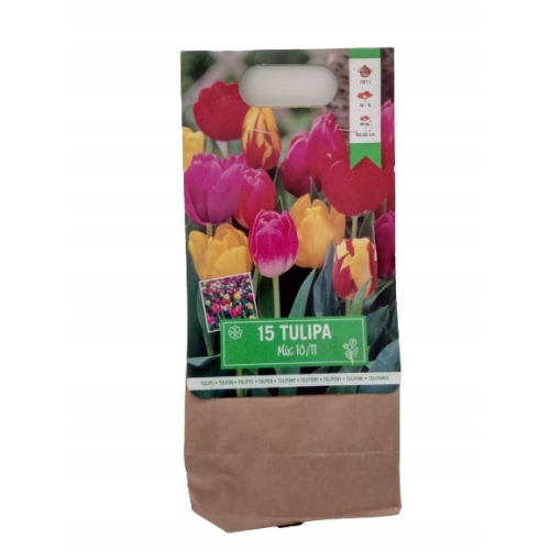 TULIPANY 15 SZT MIX CEBULEK WIELOKOLOROWE SUPER 11