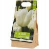 Tulipany Double mix kolorów 10 cebulek kwiatowych