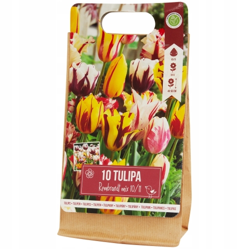 Tulipany Double mix kolorów 10 cebulek kwiatowych