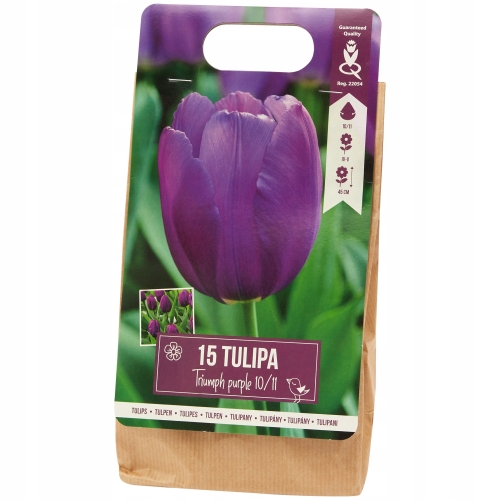 Tulipany Double mix kolorów 10 cebulek kwiatowych