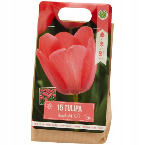Tulipany Double mix kolorów 10 cebulek kwiatowych