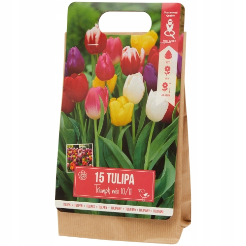 Tulipany Double mix kolorów 10 cebulek kwiatowych