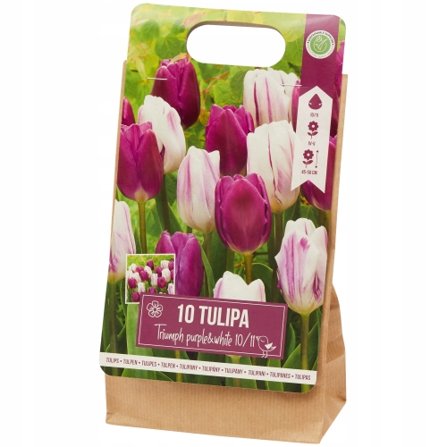 Tulipany Double mix kolorów 10 cebulek kwiatowych