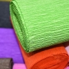Kwiaty z papieru krepowanego Craft Sensations Zrób to sam prace kreatywne