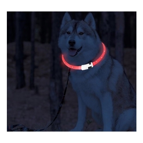 Obroża LED dla psa kota z możliwością wielokrotnego ładowania usb Czerwona