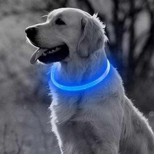 Obroża LED dla psa kota z możliwością wielokrotnego ładowania usb Czerwona