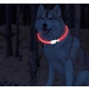 Obroża LED dla psa kota z możliwością wielokrotnego ładowania usb żółta