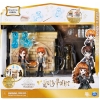 Harry Potter Wizarding World Hermiona Hagrid Fang