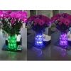 OŚWIETLENIE AKWARIUM LAMPKI DO BASENU 2 SZT WODOODPORNE IPX8 LED PILOT RGB