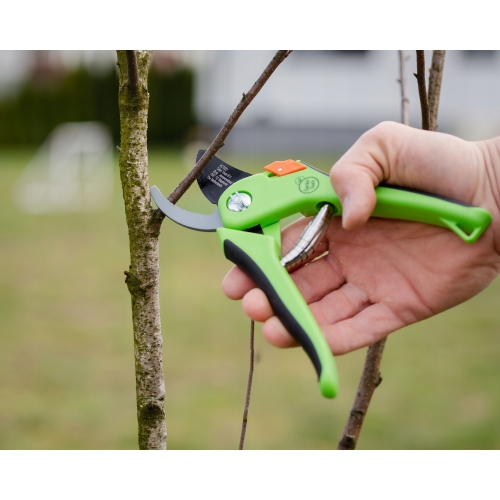 Sekator ogrodowy ręczny do gałęzi nożycowy Garden 15 cm mały zielony