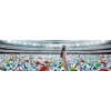 Pakiet ENTRY ELEVENS SPORT CANAL+ SUPER SPORT opcja Prepaid 12 / 24 mies. BEZ UMOWY !!!