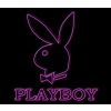 Kanał erotyczny Playboy TV