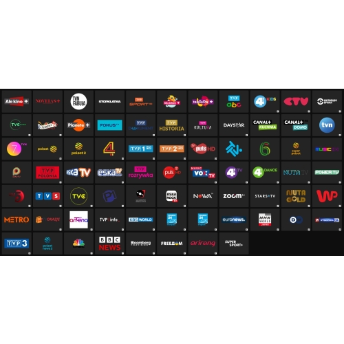 Prepaid ENTRY HD CANAL+ EXTRA Super Sport Champions League 12 miesięcy